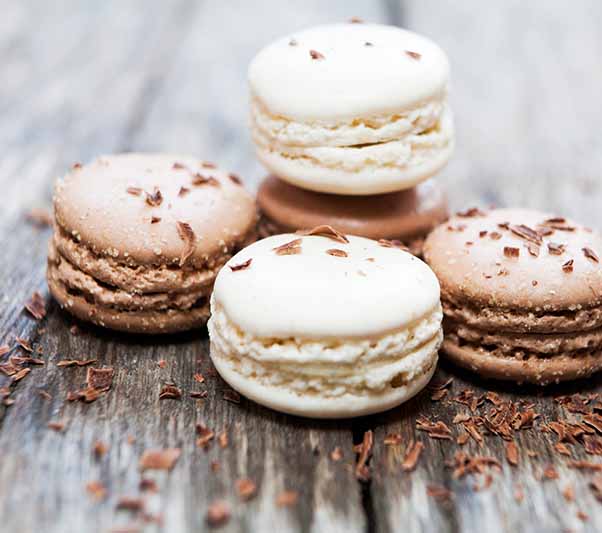 Découvrez nos spécialités et nos délicieux macarons à Paimpol